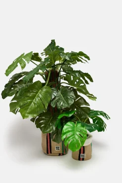 Online Runa - Plant Pot Cover in Natural, Pink, Green Stripe (2 Pack) All Accessories|Homeware