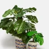 Fashion Runa - Plant Pot Cover in Diamond Jacquard Print (2 Pack) All Accessories|Homeware