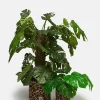 Hot Runa - Plant Pot Covers in Cotton Leo Print (2 Pack) All Accessories|Homeware