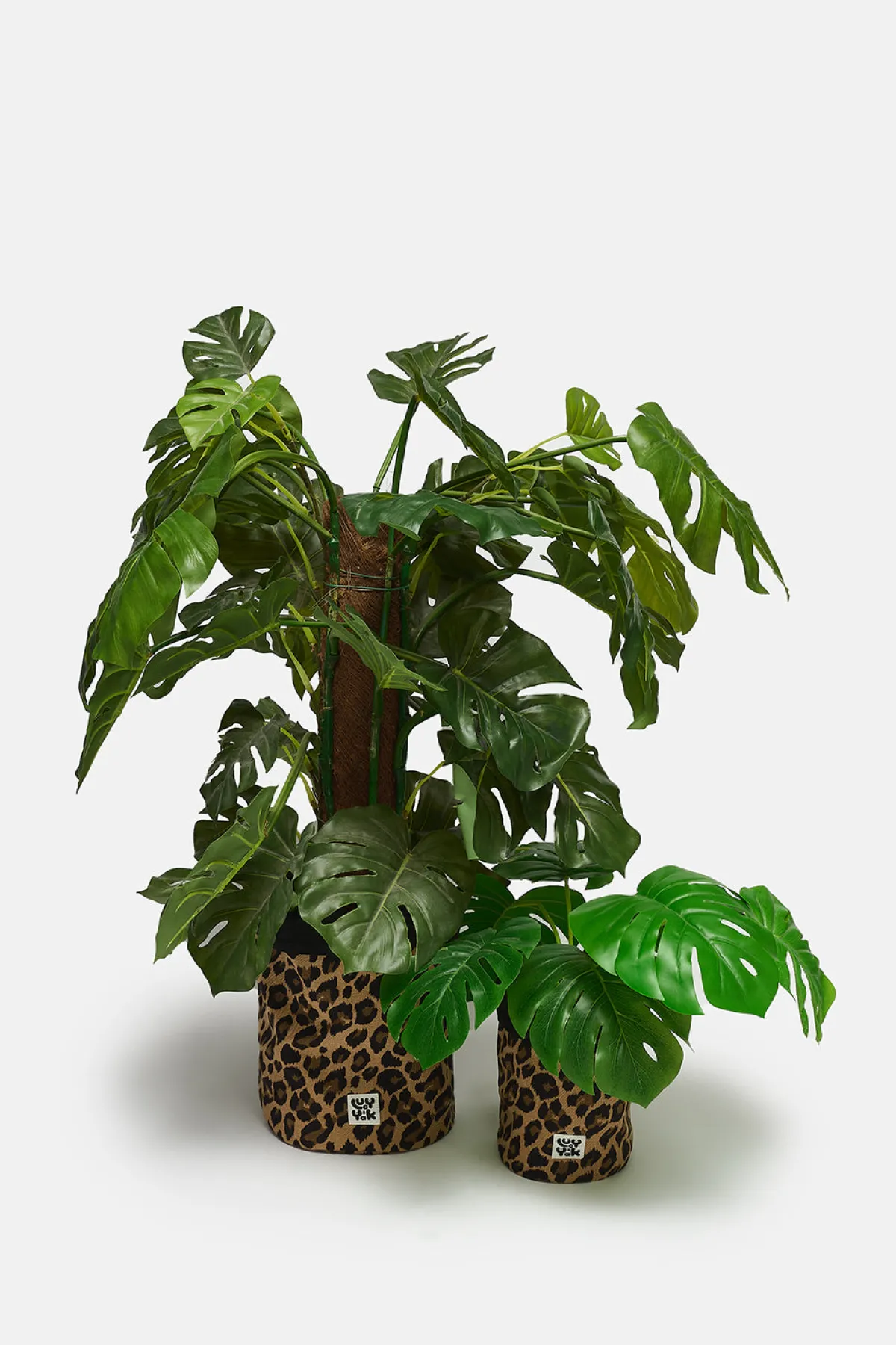 Hot Runa - Plant Pot Covers in Cotton Leo Print (2 Pack) All Accessories|Homeware