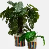 Online Runa - Plant Pot Covers in Rainbow Stripe Print (2 Pack) All Accessories|Homeware