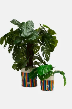 Online Runa - Plant Pot Covers in Rainbow Stripe Print (2 Pack) All Accessories|Homeware