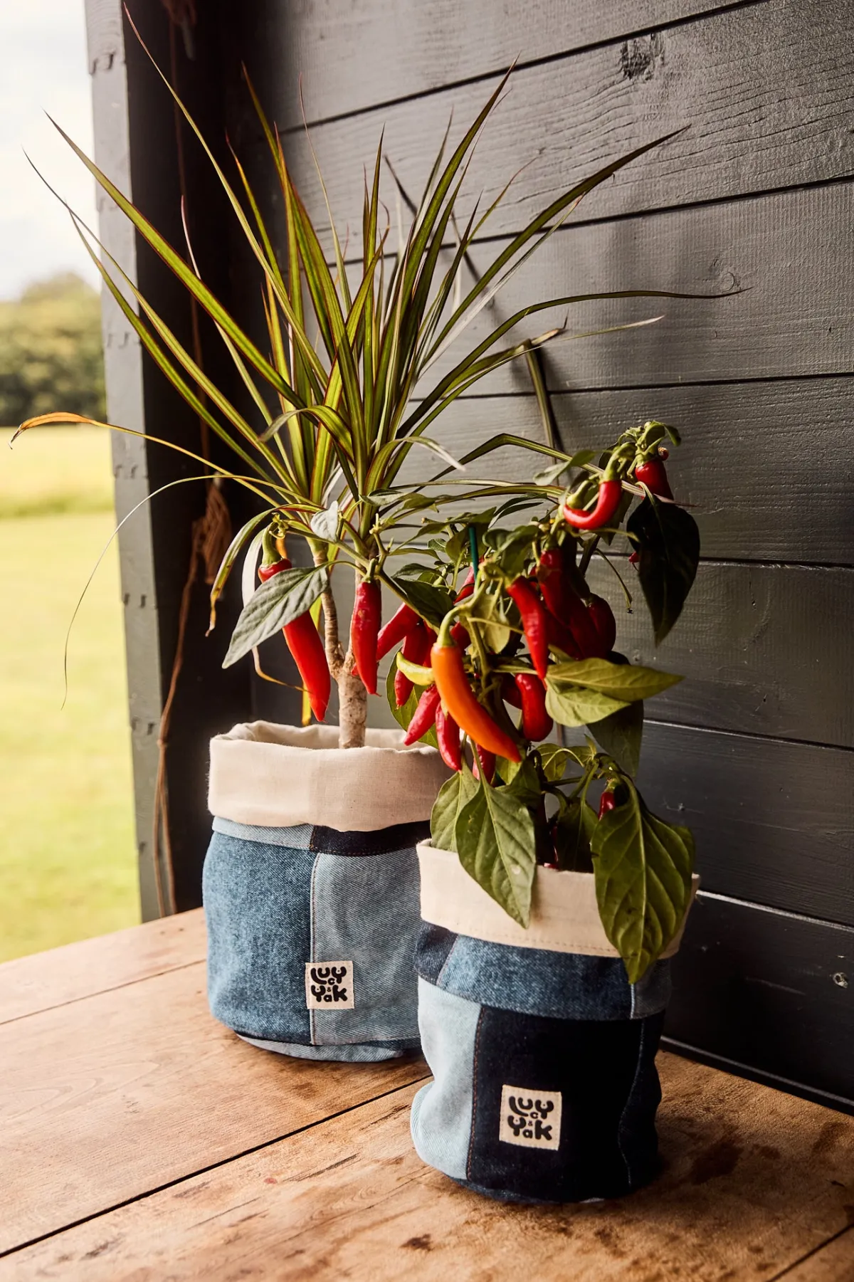 Hot Runa - Plant Pot Covers in Paige Patchwork Print (2 Pack) All Accessories|Homeware